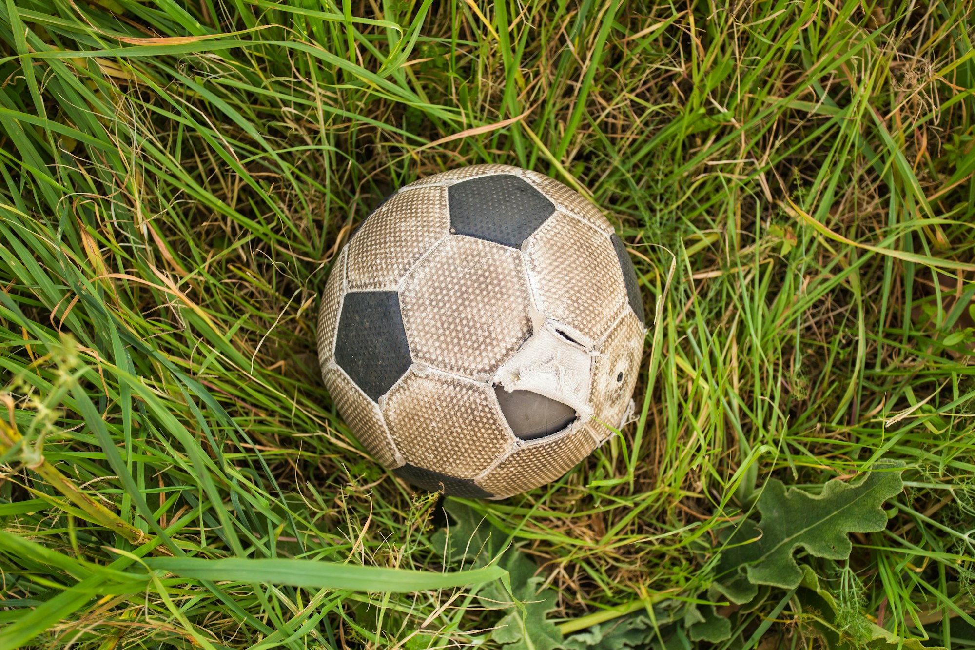 Old Soccer ball on the green grass, top view